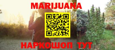 гидра Заводоуковск