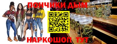 гидра Заводоуковск