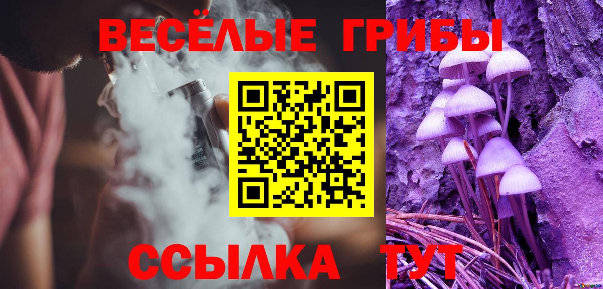 Псилоцибиновые грибы GOLDEN TEACHER Петрозаводск